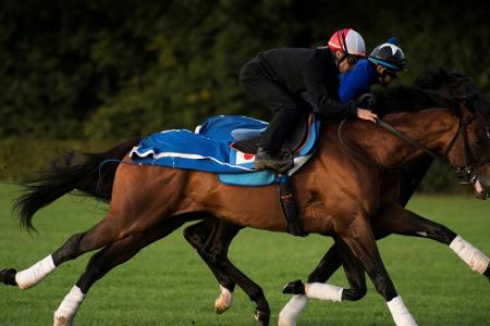 Prix de l’Arc de Triomphe: Dschingis Secret und Iquitos laufen für Deutschland Prix de l’Arc de Triomphe: Dschingis Secret und Iquitos laufen für Deutschland