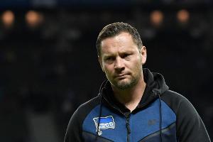 Dardai bescheiden: "Sind noch in der Sammelphase"