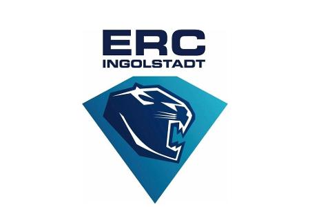 DEL: Ingolstadt verpflichtet Angreifer Mauldin DEL: Ingolstadt verpflichtet Angreifer Mauldin