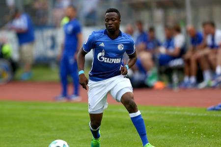 Wildert Österreichs Team der Stunde beim FC Schalke? Wie die 'Vorarlberger Nachrichten' berichten, liebäugelt der SCR Altach...