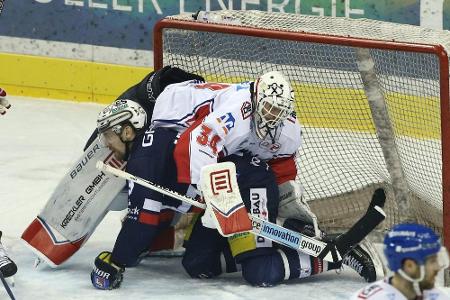 Straubing Tigers holen Torhüter MacIntyre Straubing Tigers holen Torhüter MacIntyre