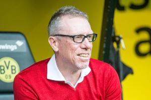 Stöger vor Stuttgart optimistisch: "Das hat nichts mit irgendeiner Statistik zu tun"