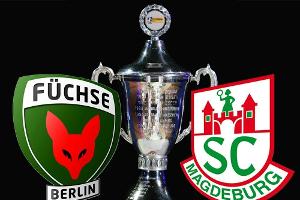 DHB-Pokal: Füchse gegen Magdeburg live im Free-TV