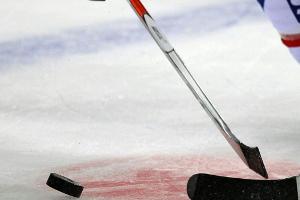 DEL: Iserlohn Roosters springen auf Platz fünf