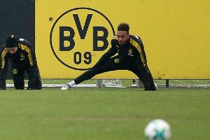 Stöger: Aubameyang "in der Planung für das Wochenende"