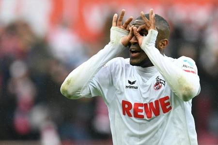 Modeste-Berater: Modeste-Berater: