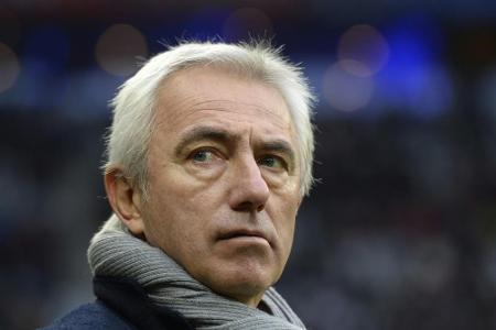 Van Marwijk trainiert Australien bei der Fußball-WM in Russland