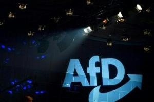 "Alternative FC Bundestag": AfD-Abgeordnete gründen Fußballverein