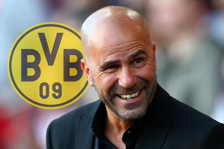 Anfang Juni 2017 stellt der BVB den Nachfolger von Thomas Tuchel vor: Peter Bosz soll die Borussia in eine glorreiche Zukunf...