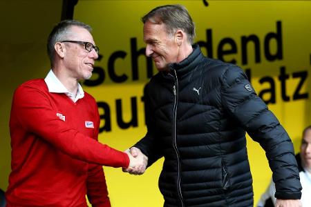 Ein Österreicher übernimmt. Peter Stöger führte den 1. FC Köln in der Saison 2016/17 erstmals seit 25 Jahren zurück in den E...