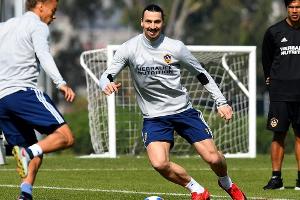 "Der Löwe ist hungrig": Ibrahimovic tritt Dienst bei Galaxy an