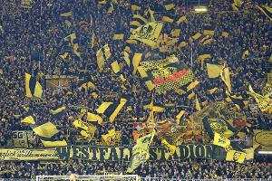 "Tradition schlägt jeden Trend": BVB-Fans unterstützen Austria Salzburg