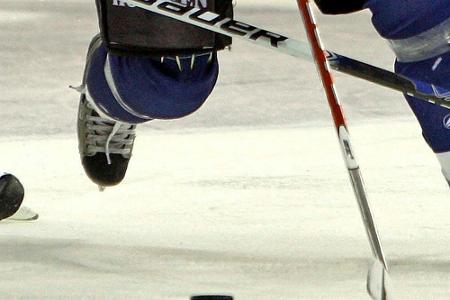 DEL: Adler Mannheim und Kölner Haie direkt in den Play-offs DEL: Adler Mannheim und Kölner Haie direkt in den Play-offs
