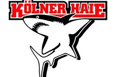 DEL: Haie holen Nationalspieler Oblinger DEL: Haie holen Nationalspieler Oblinger