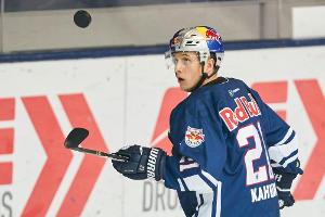 Fragen und Antworten zum Play-off-Finale der Deutschen Eishockey Liga (DEL)