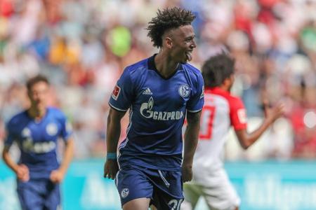 Schalke 04 qualifiziert sich für die Champions League