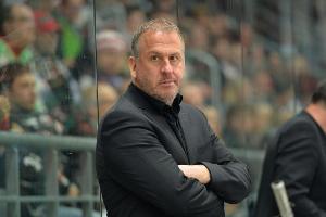 DEL: Überraschender Trainerwechsel bei den Ice Tigers