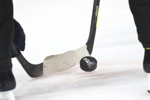 Eishockey: 15 Klubs reichen Lizenzunterlagen bei der DEL ein