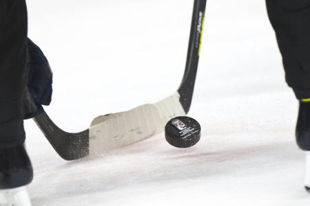 Eishockey: 15 Klubs reichen Lizenzunterlagen bei der DEL ein Eishockey: 15 Klubs reichen Lizenzunterlagen bei der DEL ein