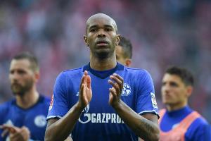 Spieler der Saison: Naldo (Schalke 04)