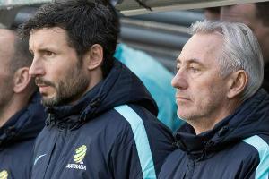 Van Bommel neuer Eindhoven-Coach