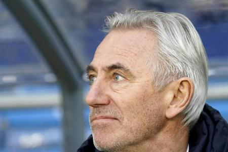 Socceroos-Coach van Marwijk bezahlt Trainer-Stab selbst