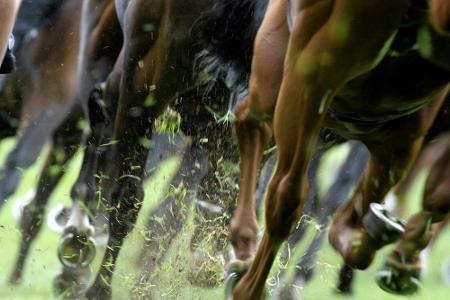 Galopp: Millowitsch gewinnt Silberne Peitsche in Iffezheim Galopp: Millowitsch gewinnt Silberne Peitsche in Iffezheim