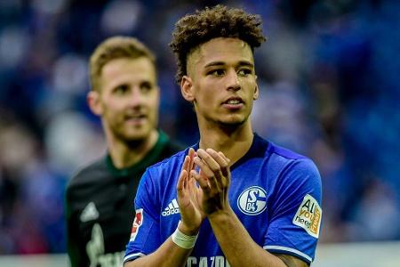 Kehrer, Özil, Höwedes: Profis aus der Schalker Knappenschmiede