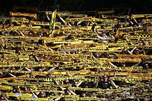 Bern schafft historische Champions-League-Qualifikation