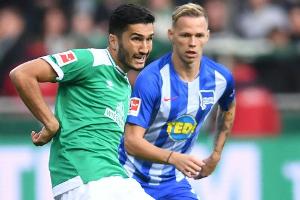 Medien: Sahin und Hamit Altintop Betrugsopfer in Spanien
