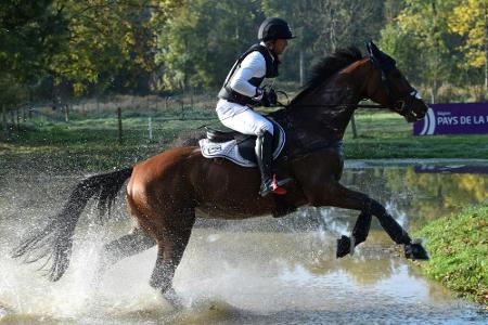 Reiten: Olympiasieger Jung mit Oberarmbruch außer Gefecht