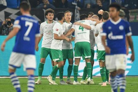 Werder träumt von Europa - und schickt Schalke in den Abstiegskampf