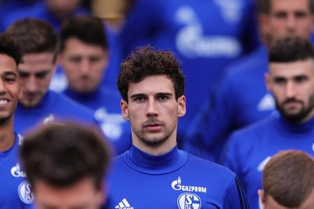 Leon Goretzka (Schalke 04 → Bayern München, ablösefrei)