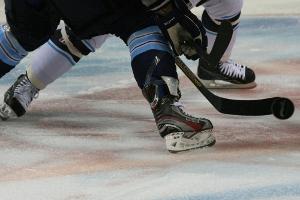 Iserlohn holt früheren NHL-Verteidiger Ellerby