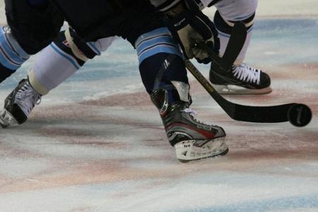 Iserlohn holt früheren NHL-Verteidiger Ellerby Iserlohn holt früheren NHL-Verteidiger Ellerby