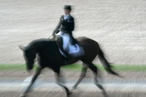 Weltreiterspiele: Bronze für Philipp in der Para-Dressur
