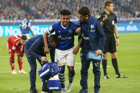 Schalke vorerst ohne McKennie - kein Bruch Schalke vorerst ohne McKennie - kein Bruch