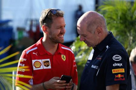 Newey: Druck macht Vettel zu schaffen - Vorteil Hamilton