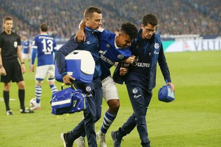 Schalke droht Ausfall von McKennie
