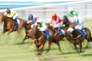 Galopp: Best Solution gewinnt Großen Preis von Baden