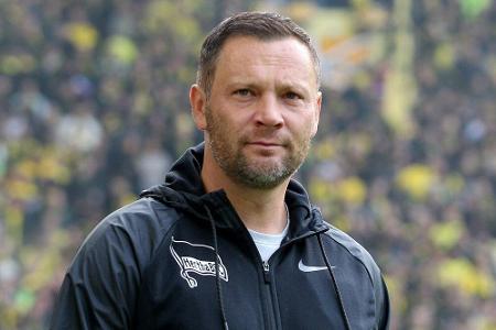 Hertha: Dardai fordert rasches Ende im Streit mit den Fans