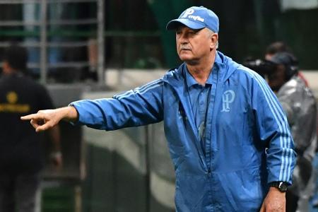 Scolari mit Palmeiras brasilianischer Meister Scolari mit Palmeiras brasilianischer Meister