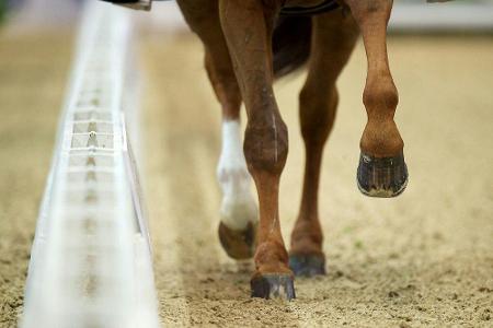 Sexualstraftäter nimmt mit Verbandslizenz an Reitturnier teil Sexualstraftäter nimmt mit Verbandslizenz an Reitturnier teil