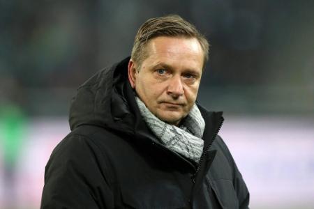 Nach Schiedsrichter-Schelte: DFB-Ermittlungen gegen Heldt eingeleitet