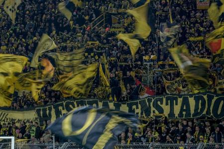 BVB: Fahnen bei Heimspielen gegen Hoffenheim erlaubt BVB: Fahnen bei Heimspielen gegen Hoffenheim erlaubt