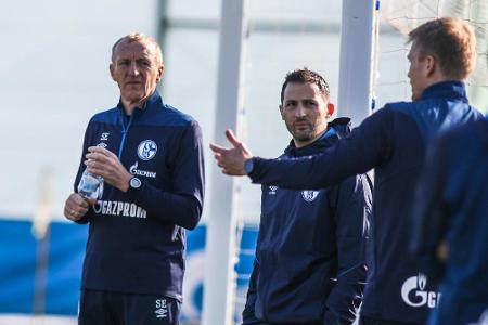 Schalkes neuer Co-Trainer Eichkorn: 