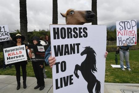 22 tote Pferde: Santa Anita fordert weiteres Opfer 22 tote Pferde: Santa Anita fordert weiteres Opfer