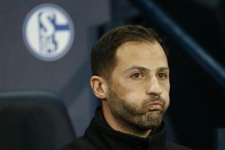 Schalke trennt sich von Trainer Tedesco - Stevens und Büskens übernehmen interimsmäßig
