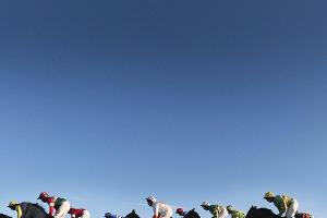 21 tote Pferde: Galopprennen in Santa Anita ausgesetzt