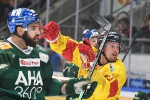 Sieg gegen Düsseldorf: Augsburg vor Einzug ins Play-off-Halbfinale
